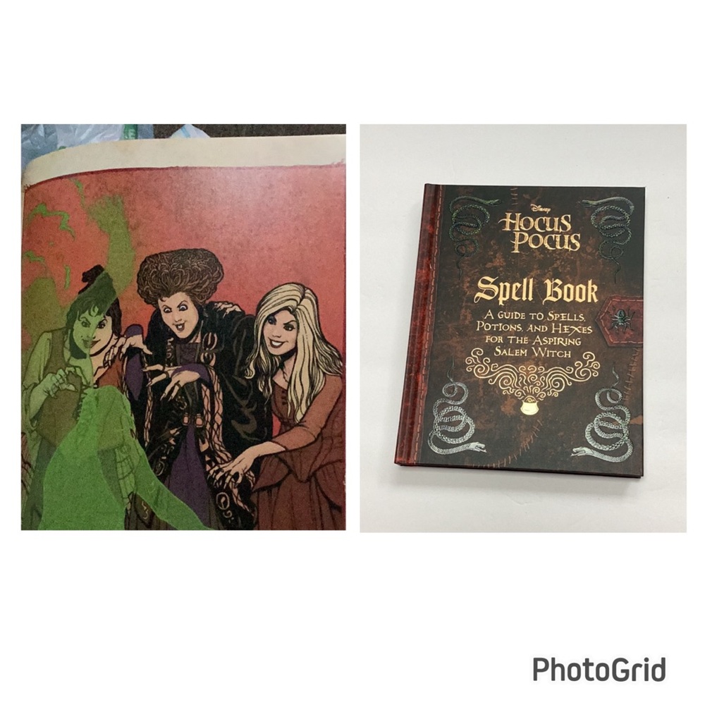 Disney Hocus Pocus Spell Book NWT‎